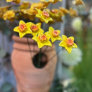 Hand Painted Set of 6 or 12 Ceramic Daffodils on Metal Spikes