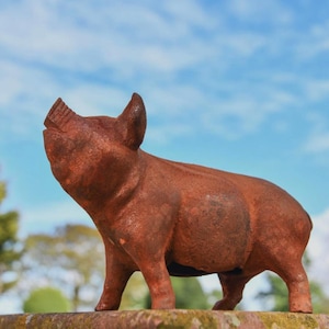 May include: A rusty-brown metal pig sculpture, looking upwards against a blue sky. The pig is standing on a stone surface, with trees in the background. The statue has a weathered, aged appearance, suggesting it is an outdoor garden ornament.