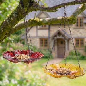 May include: Two flower-shaped glass bird feeders, one red and one yellow, filled with birdseed. They hang from a tree branch by chains. The background features a house. Measurements are in cm.