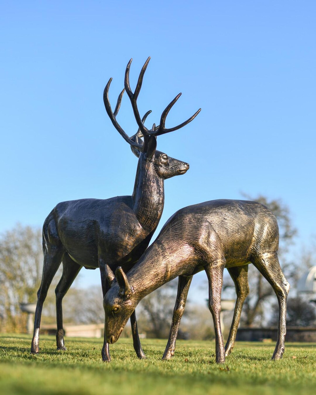 Cast Aluminium Stag and Doe Garden Sculpture Set, Set of Two Deer Metal ...
