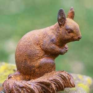 May include: A weathered, brown squirrel ornament. The squirrel is depicted in a seated pose with its bushy tail. The statue has a textured finish, possibly metal. The background is a soft green, suggesting an outdoor setting.