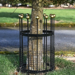 May include: A black metal tree guard encircles a tree trunk. The guard has a cage-like lower section and vertical rods with gold-coloured spheres. The tree is surrounded by green grass, with a road and greenery in the background.