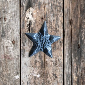 May include: A blue metal star-shaped ornament against a weathered wooden background.