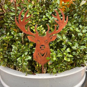May include: A rusty brown metal deer silhouette garden stake. The deer has large antlers and is placed in a white pot filled with green leafy plants. The deer's face has cut-out details.