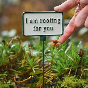 May include: A rectangular garden marker with a white face and dark green border, featuring the raised dark green text "I am rooting for you." The sign is attached to a thin, dark green metal stake designed for insertion into soil or planters.