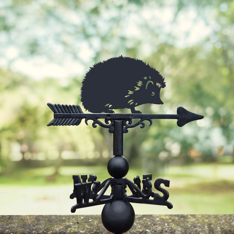 May include: Black metal garden weather vane featuring a silhouette of a hedgehog with a directional arrow. The vane is mounted on a black metal post with a ball finial.