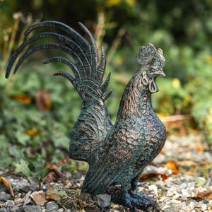 May include: A bronze-effect rooster statue with a detailed, textured finish. The sculpture features a prominent comb, wattle, and a large, fanned tail. The rooster stands on a bed of small rocks and leaves, with a blurred green background.