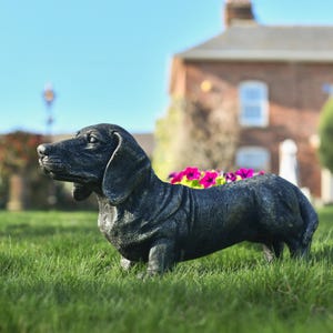 May include: A black dachshund planter with a distressed finish. The planter is filled with pink flowers and is sitting on a green lawn.