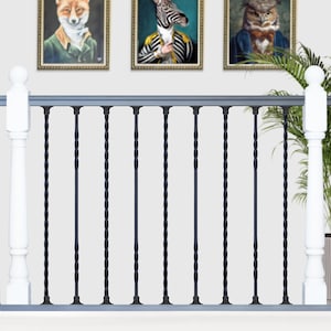 May include: Black metal twisted balusters with a grey top rail and white posts. The balusters are installed on a white wooden deck with a white wainscoting wall behind them. Three framed animal portraits are hanging on the wall above the railing.