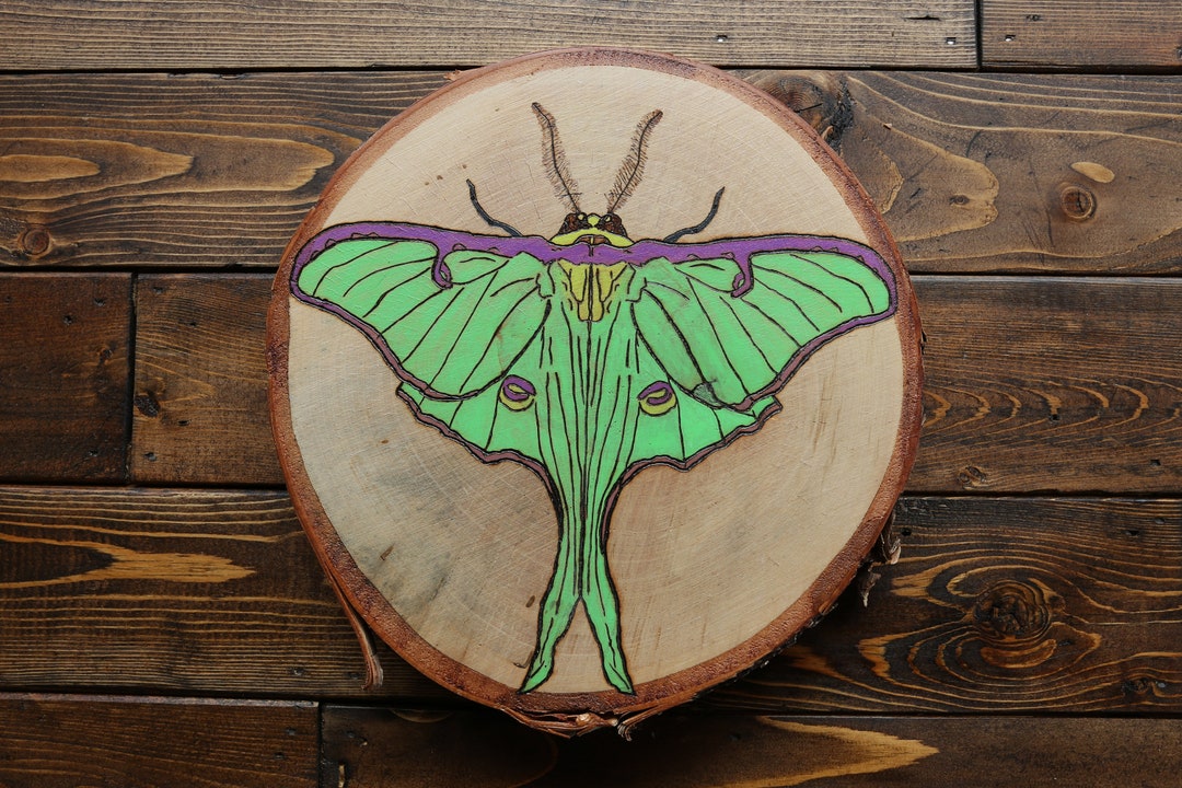 Luna - Original Luna Moth Mixed Media Wood Art - Etsy