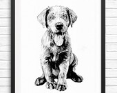 Puppy