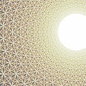 Stampa su tela "Fiore della vita" / Poster su tela arrotolata / Arte murale di geometria sacra senza cornice