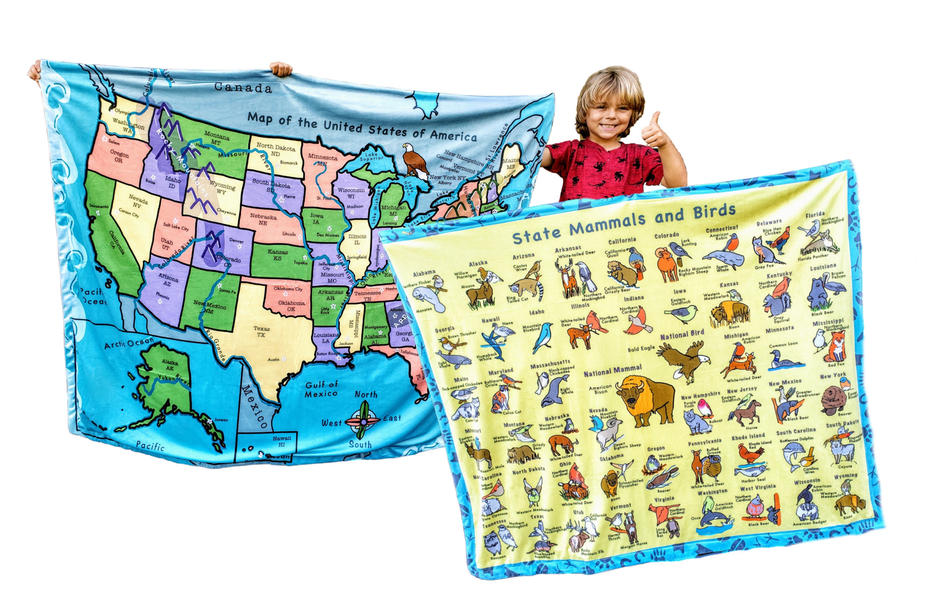 Usa Map 50 States Capitals Childrens Learn Birds Us America Etsy Usa Map 50 States Capitals Childrens Learn Birds Us America Etsy