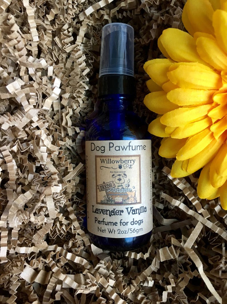 Dog Perfume Perfume Spray Lavender Spray Dog Deodorizer Etsy