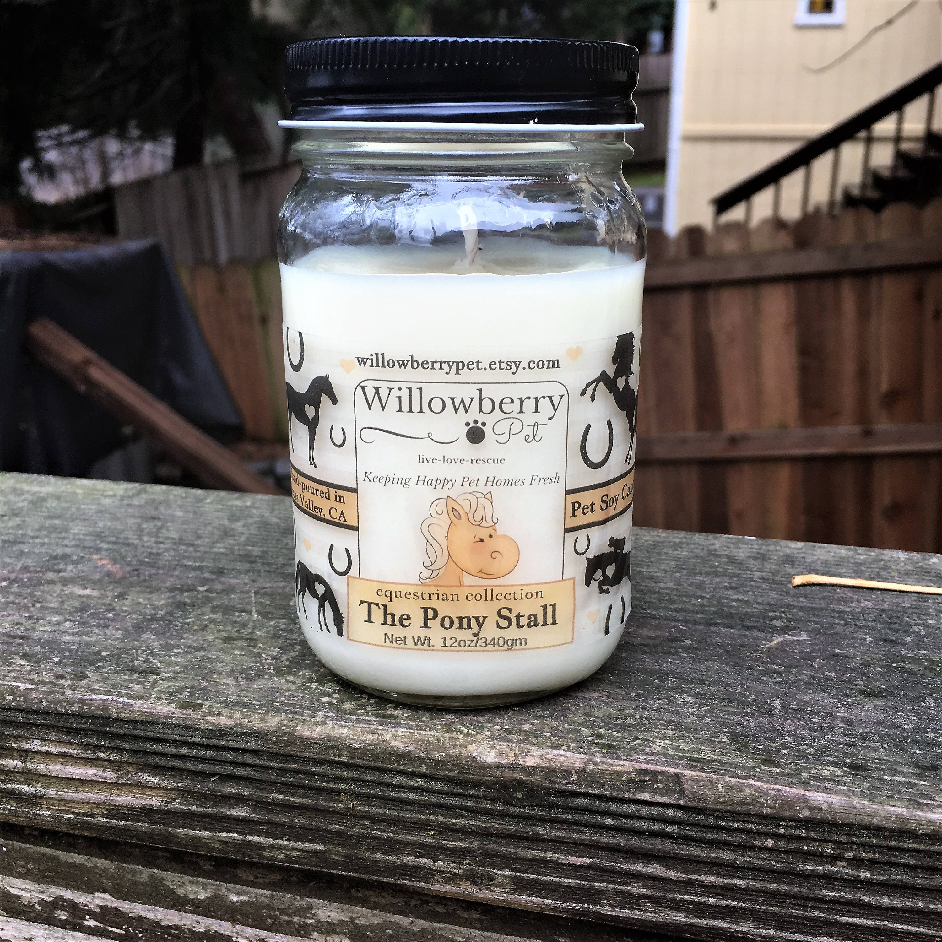 gift ideas for horse crazy girl