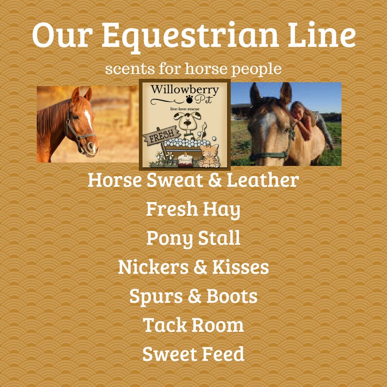 Dog Candles Dog Lover Candles Dog Candle Gift Lavender Etsy