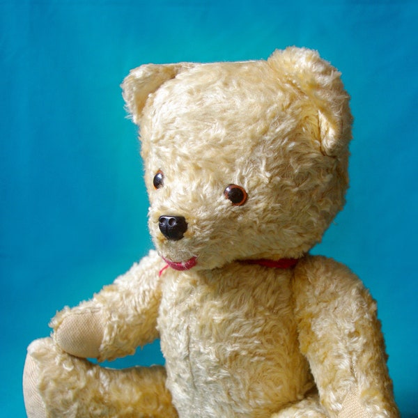 Antique Old vintage Teddy Bear 1950s Fully Jointd, 16", polonais BIG