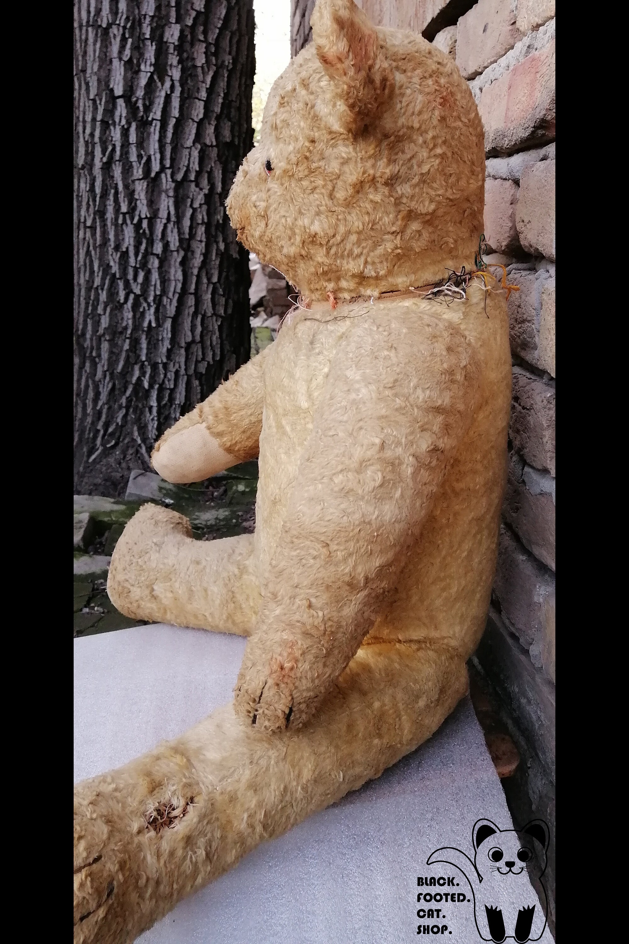 Ours En Peluche Ancien Rose – Yeux En Verre, 58 Cm, Collection 1940, état D'usage