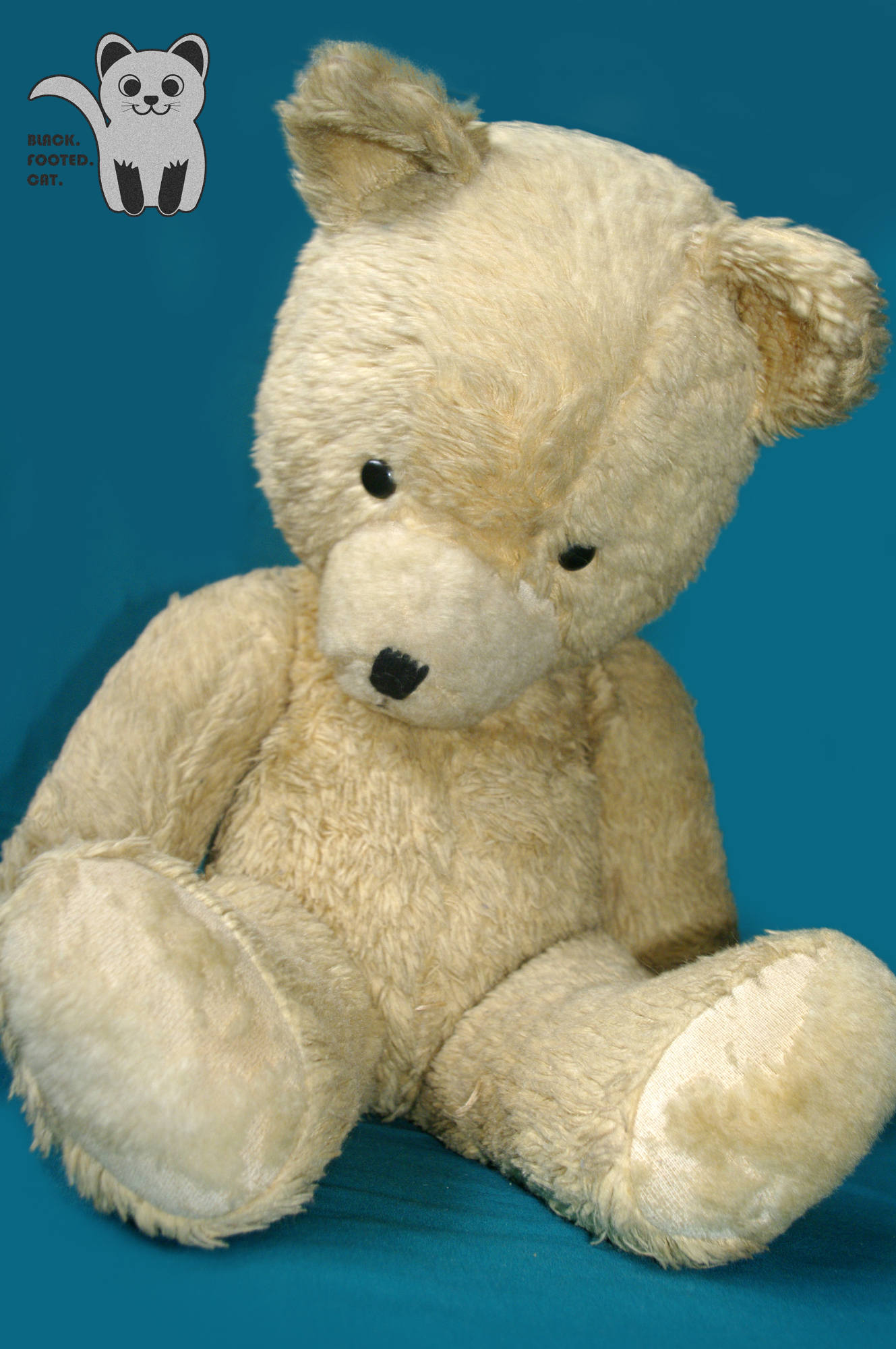 Huge Jumbo Antique Old Vintage Teddy Bear 1950s with Growler | Etsy