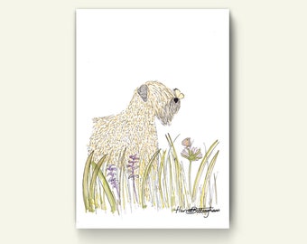 Soft Coated Wheaten Terrier and Butterfly Print