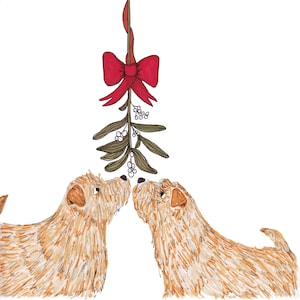 Norfolk Terriers sob o cartão de Natal do visco
