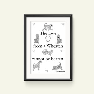 Soft Coated Wheaten Terrier &#39;The Love From A Wheaten Cannot Be Beaten&#39; Print