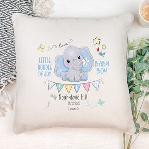 Personalised Baby Boy Nursery Cushion Gift