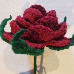 Crochet Starlike Sepal