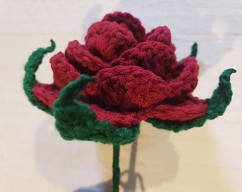 Crochet Starlike Sepal