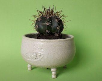 Pot with ceramic legs, bowl of animals for plants, zen pot for cactus.