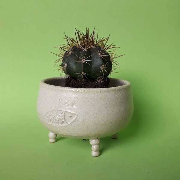 Pot avec des pattes en céramique, bol d’animaux pour les plantes, pot zen pour cactus.