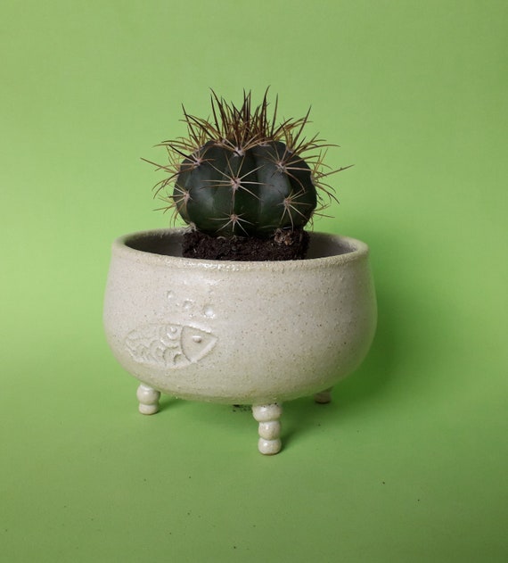 Macetero con patas de cerámica, cuenco de animales para plantas, tiesto zen  para cactus. -  México