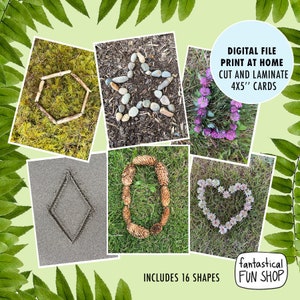 formas imprimíveis por natureza flashcards, formas naturais de floresta para sala de aula, para escola, para ensino doméstico, escola florestal DOWNLOAD INSTANTÂNEO pdf