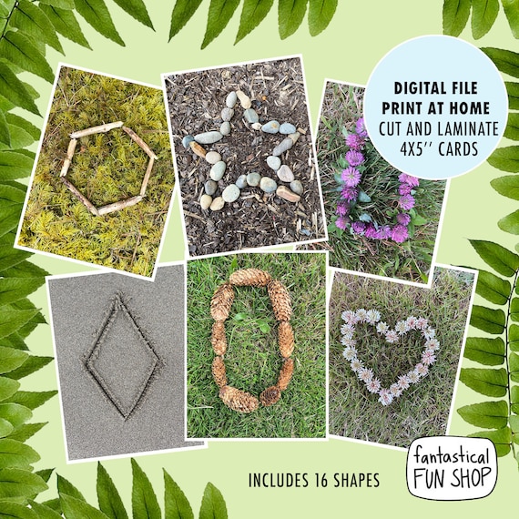 Nature Shapes Flashcards: Forest School Printable (PDF)