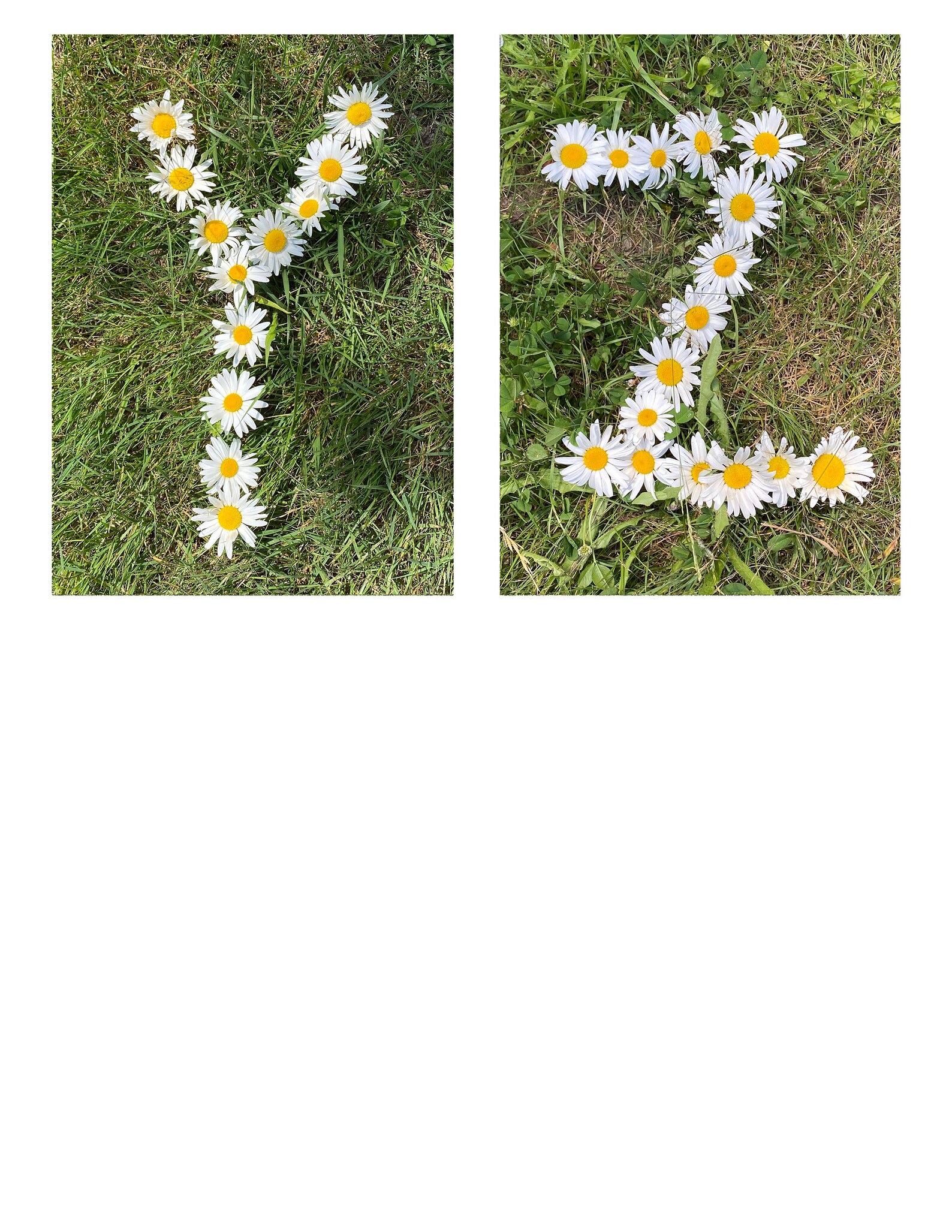 Spring Themed Alphabet Flashcards Uppercase Flower Letters - Etsy