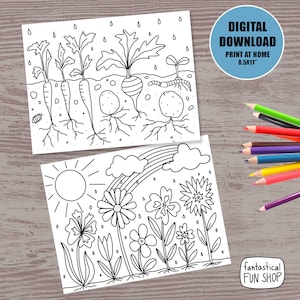 Könnte beinhalten: Zwei Schwarzweiß-Malvorlagen. Die erste Seite zeigt einen Garten mit Karotten, Kartoffeln und einer Rübe. Die zweite Seite zeigt einen Garten mit Blumen und einem Regenbogen. Beide Seiten haben den Text "DIGITAL DOWNLOAD PRINT AT HOME 8.5X11" und "fantastical FUN SHOP".