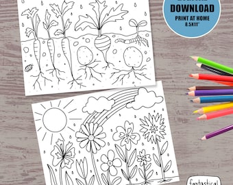 Spring Garden Coloring Pages: Flowers, Vegetables (Digital Download)