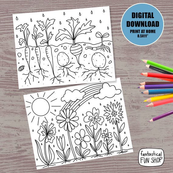 PRINTABLE spring coloring pages nature coloring for kids