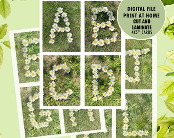 Daisy Alphabet Flashcards: Spring Classroom Printable (Digital Download)