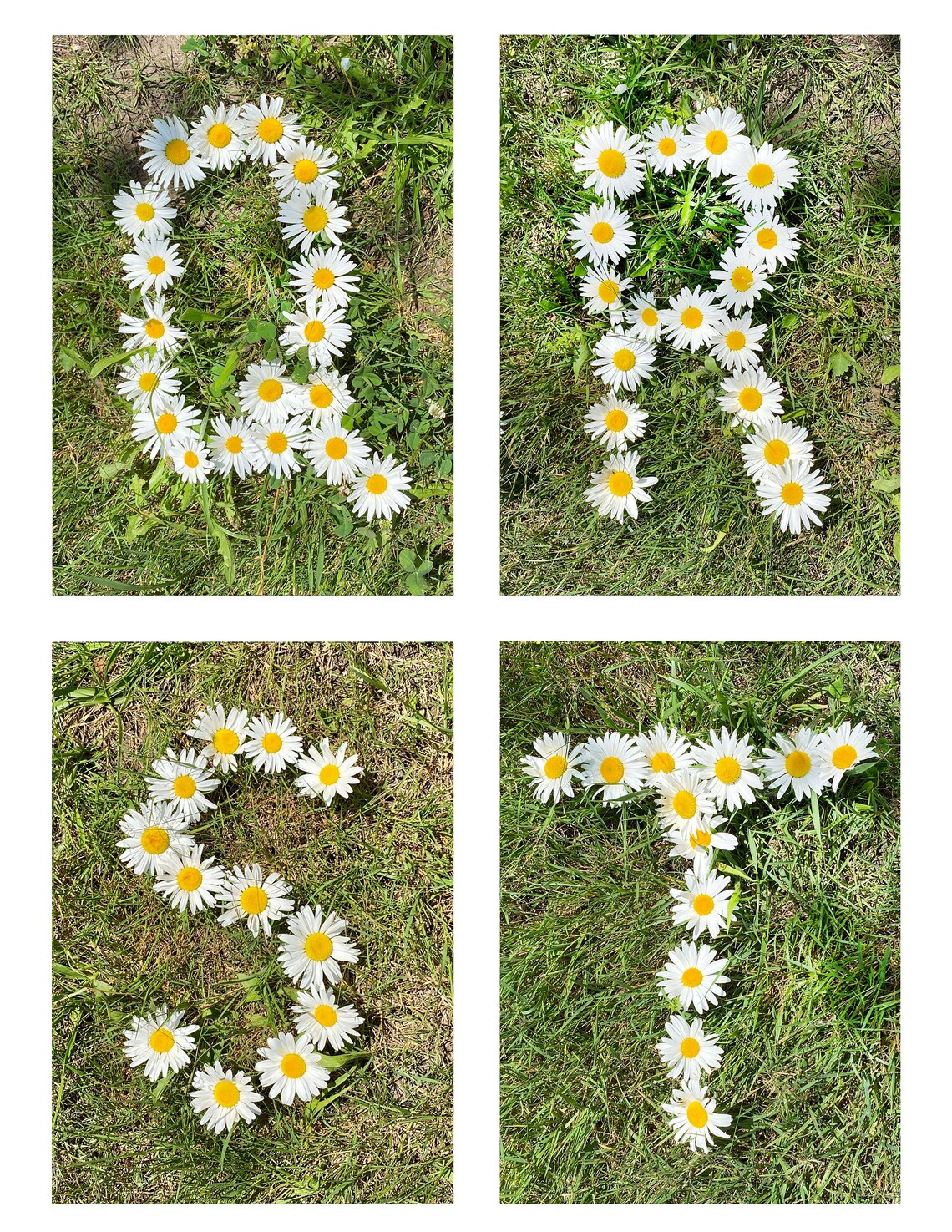 Spring Themed Alphabet Flashcards Uppercase Flower Letters - Etsy