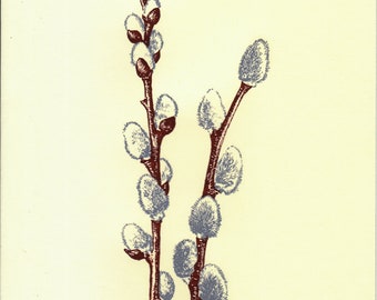 Pussy Willow Foldover Note