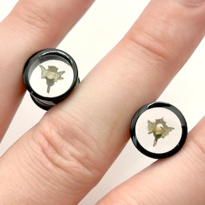 Stainless Steel & Resin Rattlesnake Bone Earplugs/Gauges 0g - 1in (pair)