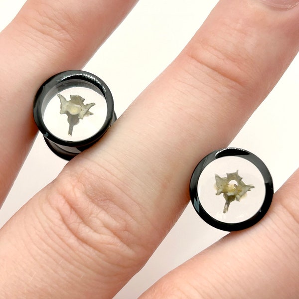 Stainless Steel & Resin Rattlesnake Bone Earplugs/Gauges 0g - 1in (pair)