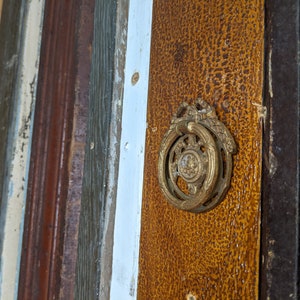 Intricate Ring Drawer Pull with Round Backplate