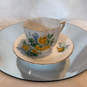 Vintage Royal Windsor Bone China Cup and Saucer