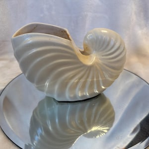 May include: A white ceramic seashell planter with a smooth, glossy finish. The planter is shaped like a nautilus shell and has a wide opening at the top.
