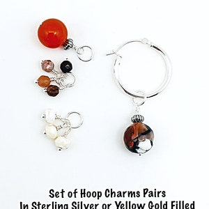 May include: A set of hoop charms pairs in sterling silver or yellow gold filled. The charms feature a variety of colorful stones, including red, orange, brown, black, white, and gray.