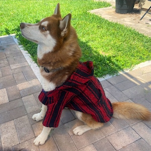 Drug Rug for Dog