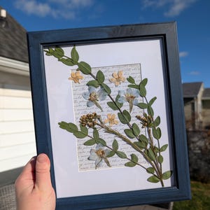 May include: A framed botanical art piece featuring pressed flowers and foliage. The arrangement includes delicate white and yellow flowers with green leaves, set against a background of handwritten script. The frame is a dark blue.