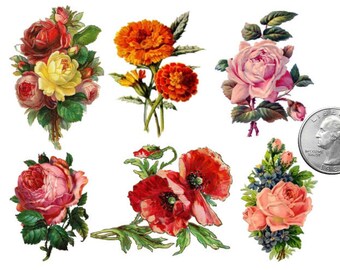 Marigold Tattoo Etsy